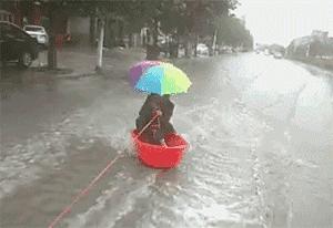 河北,致敬来宾与友人