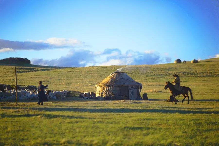 内蒙古的阳光岁月