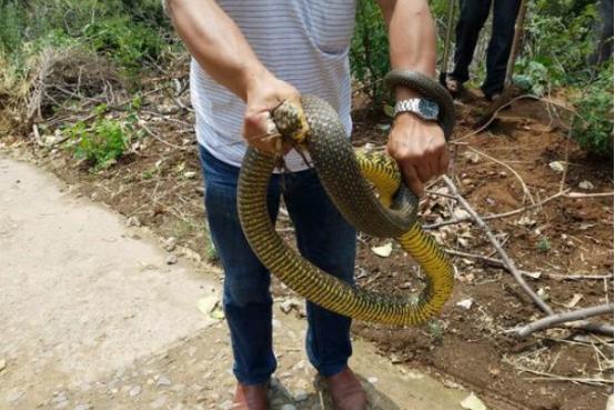 河南——华夏文明的璀璨明珠