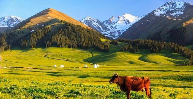 探寻新疆奥秘,深度游攻略全解析